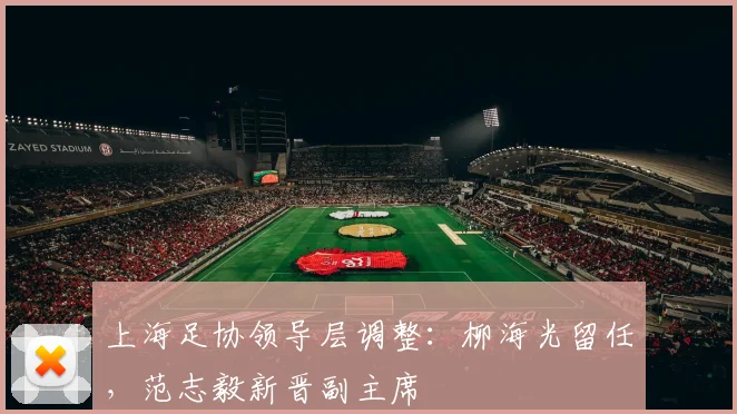 上海足协领导层调整：柳海光留任，范志毅新晋副主席